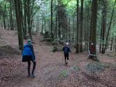 Marathonis auf dem Weg zur Luisenburg 